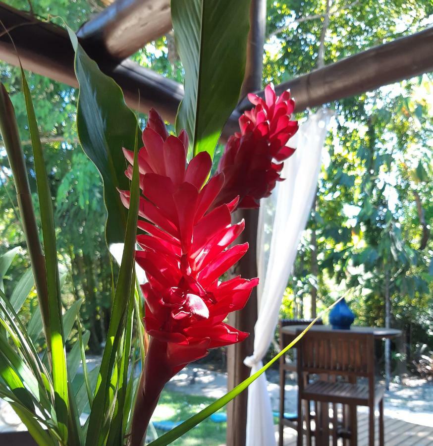 Mata N'Ativa Pousada 托兰克索 外观 照片