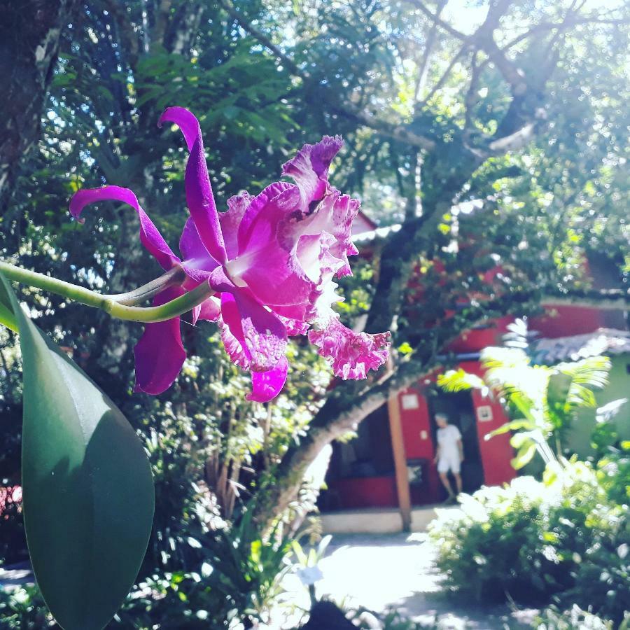 Mata N'Ativa Pousada 托兰克索 外观 照片